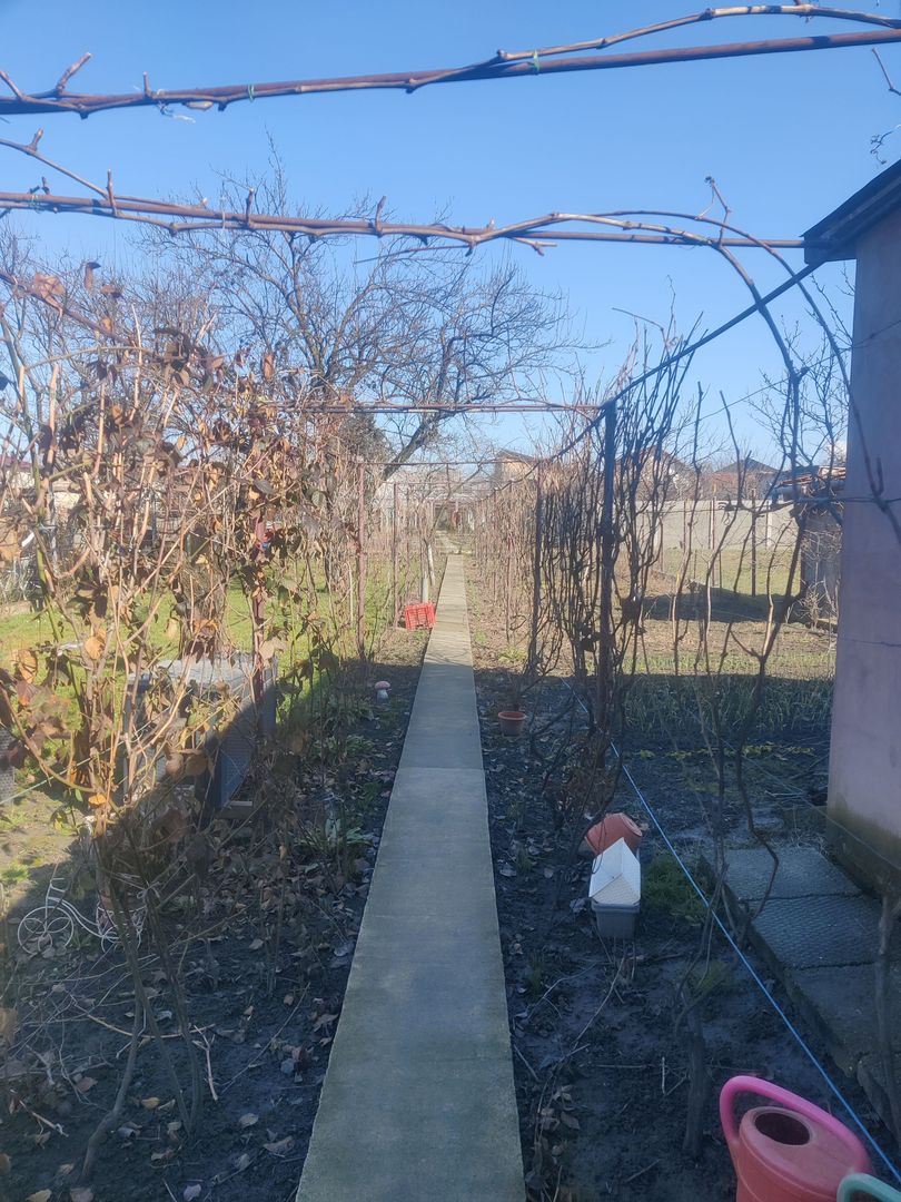 CASA CU TEREN 838 MP ZONA STEAUA - Poză 19