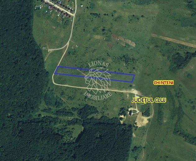 Teren 10000mp intravilan Chinteni 14 case aprobate  Investiție dezvoltator - Poză 1