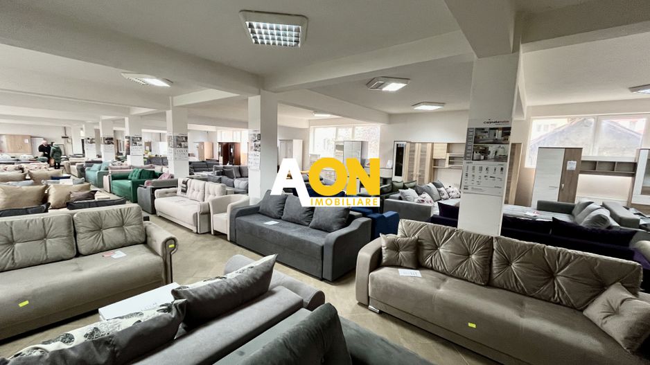 Spațiu Comercial, 400mp Nivel, Cetate - Poză 3