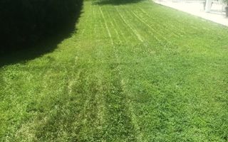 DOMENIU SPECTACULOS DE 25.000 MP | 4 IAZURI |  LIVADA | SPATIU PENTRU EVENIMENTE - Poză 33