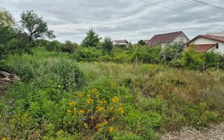 Vând Teren Vișan Bîrnova intravilan - Poză 2