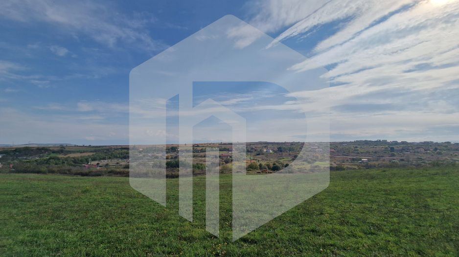 Teren de vanzare - 1500 mp - Daia Noua - Poză 1