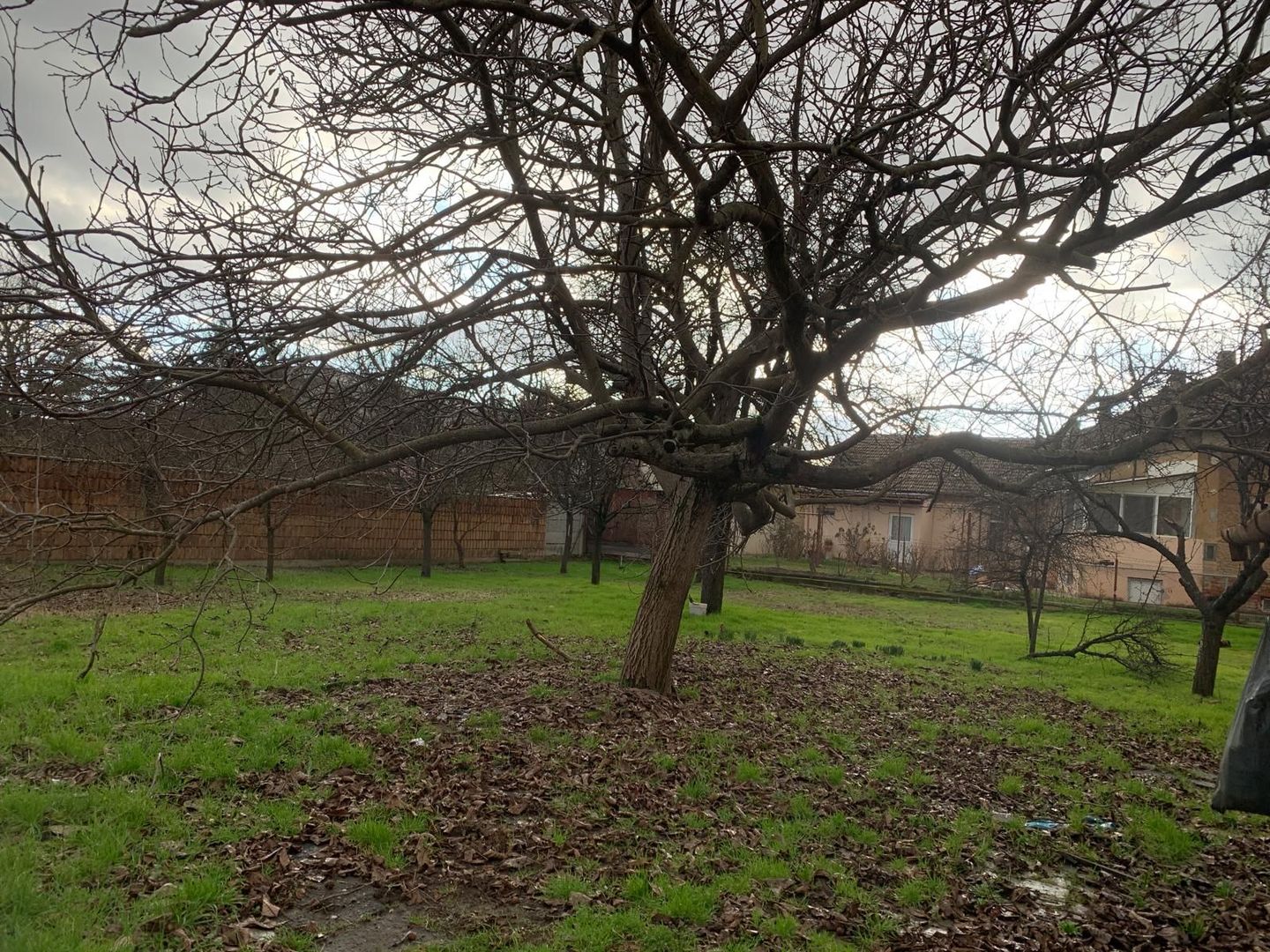 Casa P+M 90 mp zona Lipovei - Poză 8