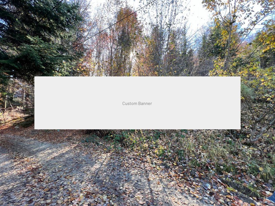 Teren 500 metri - central Sinaia - ideal constructii - Poză 5