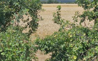 Vanzare Teren Intravilan Buftea, 750mp, str. Ulmului, Pista Biciclete - Poză 7