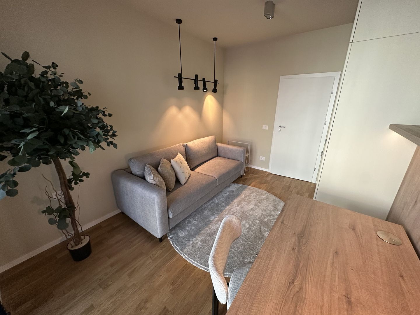 Apartament 3 camere - Poză 24