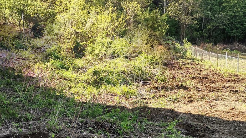 Teren intravilan 1000 mp-ideal afacere,investitie,hala-Zona Centura - Poză 2