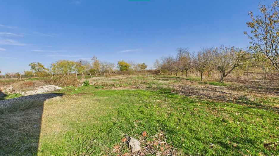 Proprietate impresionantă în Nădab - Poză 35