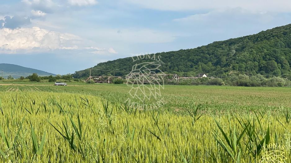 Teren -4.300 mp - Arabil - Chintelnic - Poză 6