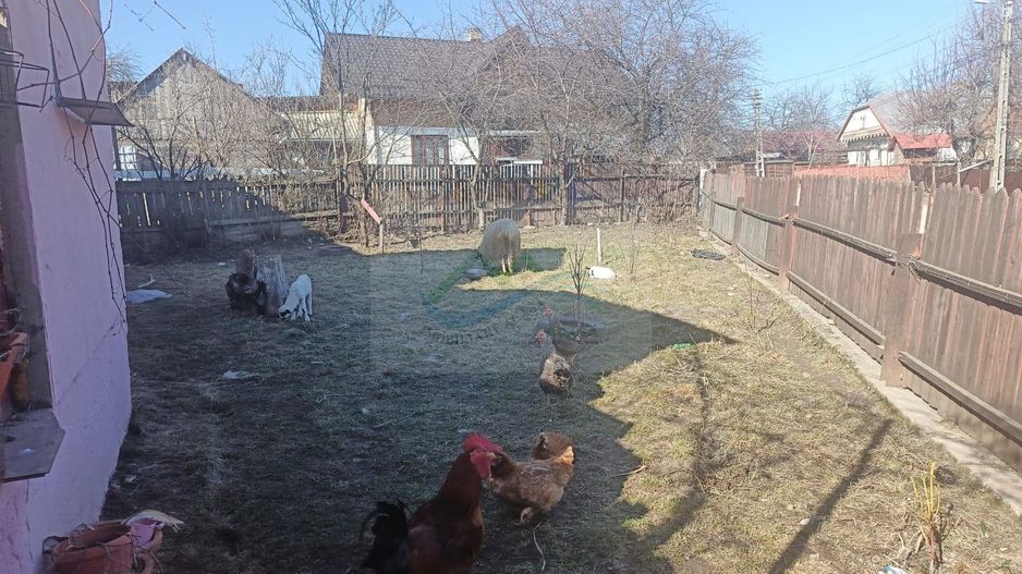 Casa de vânzre Ilișești . - Poză 7