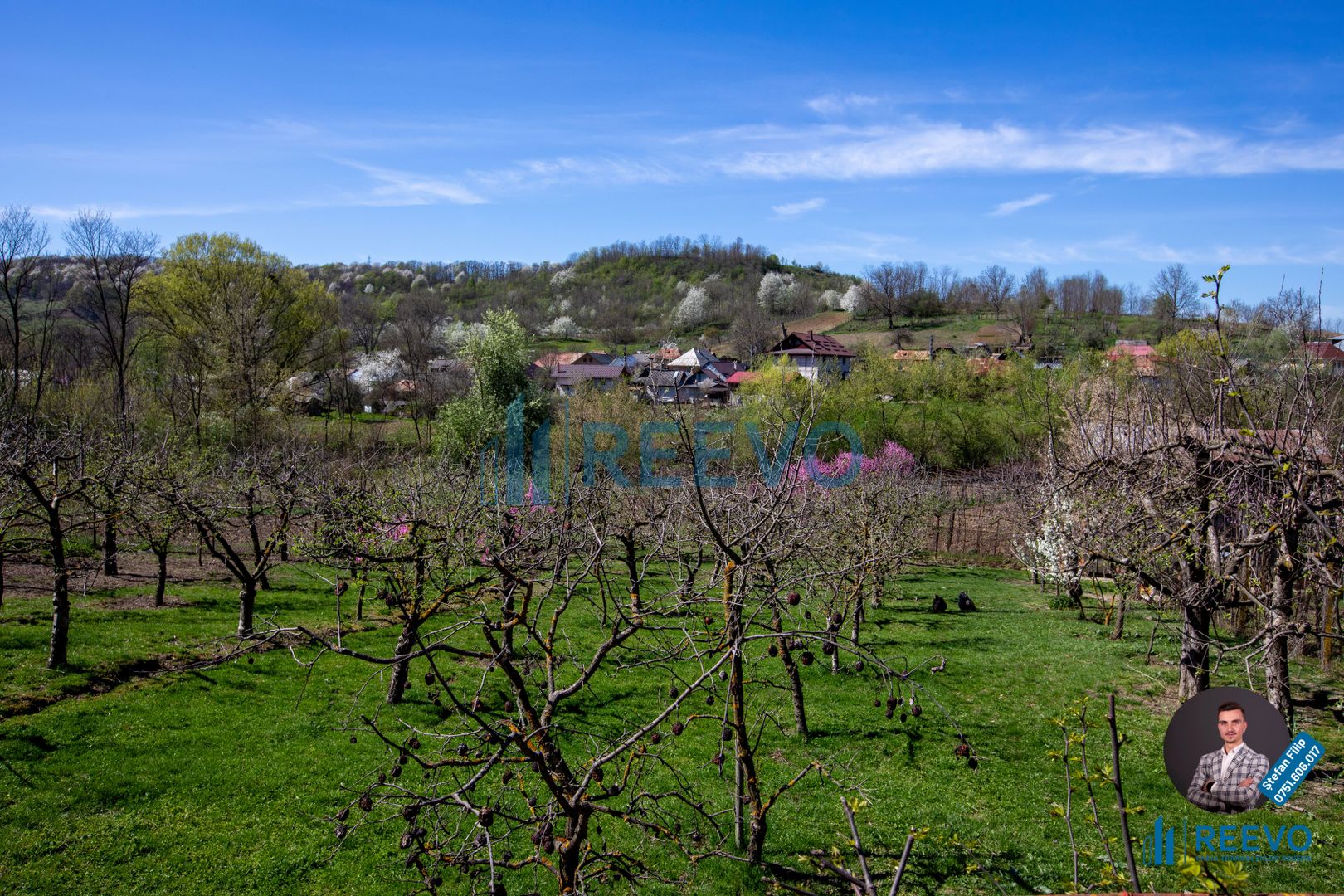 Casă și teren de vânzare, sat Buda, Blăgești, Bacău - Poză 2