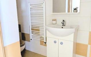 Penthouse 3 camere | 100 mp + 50 mp terase | Calea Aradului - Poză 5