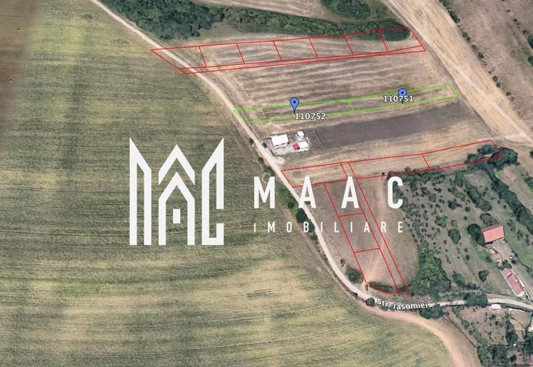 Teren | 651MP | Extravilan | Rusciori - Poză 10