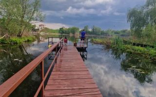 Casa de inchiriat | Snagov | acces direct la lac | ponton propriu - Poză 1