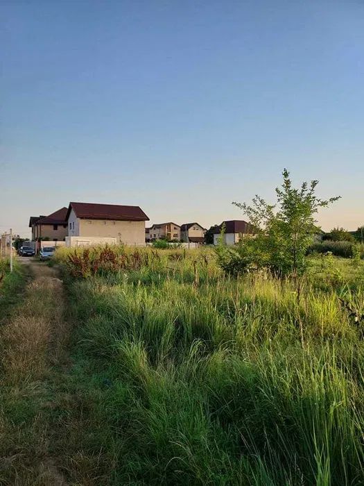 420mp intravilan str. Rasaritului/Popesti-Leordeni -jud Ilfov - Poză 5