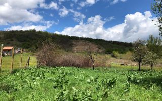 De vanzare teren in zona centrala - Poză 1