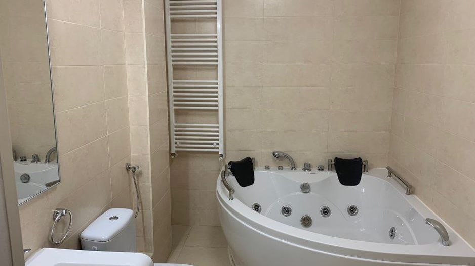 Apartament luminos cu gradina Sos Nordului Parc  Herastrau - Poză 11