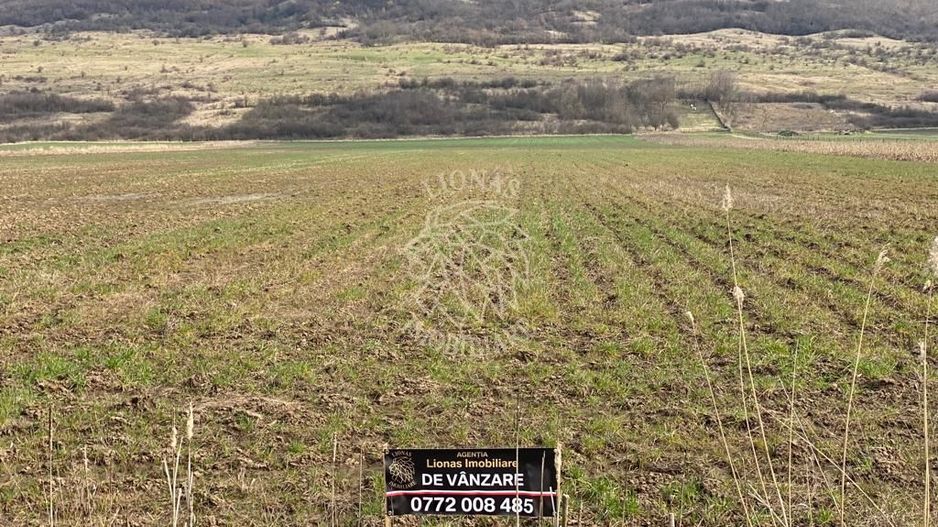 Teren Intravilan-3750mp- zona in plina dezvoltare-Podirei - Poză 2