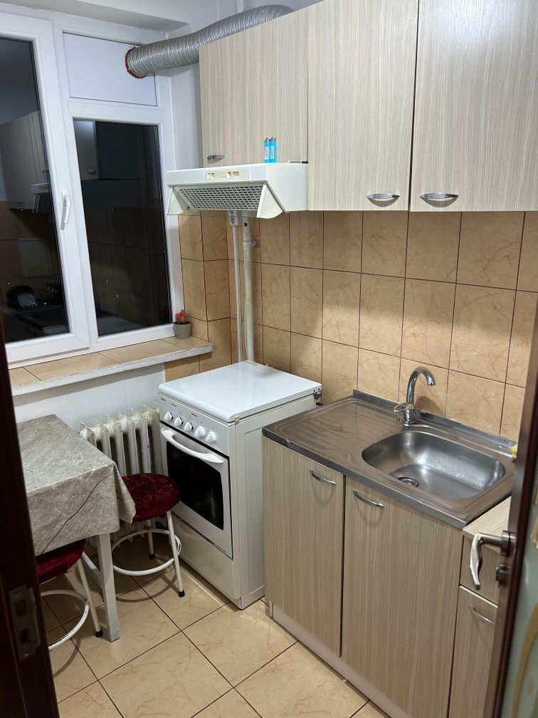 GARSONIERA IN BRAZDA LUI NOVAC - Poză 5