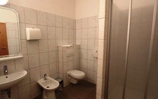 Vila spatioasa pentru birouri in zona centrala - Poză 10