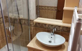 Vilă în Făget | Sediu companie | 2.412 mp teren 8 parcări - Poză 34