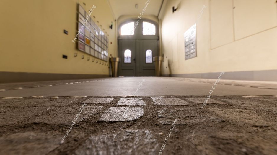 Cladire istorica integral inchiriata | 1.300 mp | colt de strada | Iosefin – TM - Poză 19