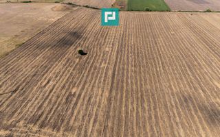 Oportunitate! Teren 4.345 mp – Şagului - Poză 4