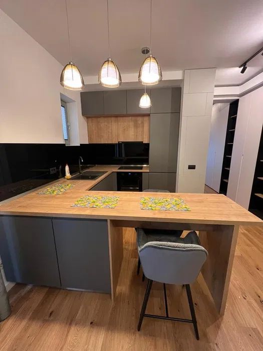 Apartament Aviatiei | Parc Herastrau - Poză 3