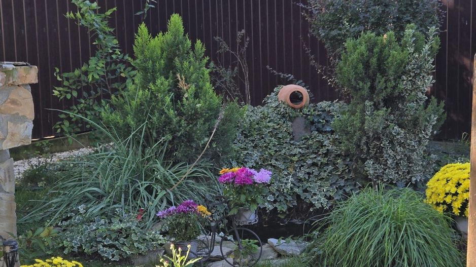 VILA CU SPA PRIVAT SI TEREN GENEROS IN TUNARI - Poză 24