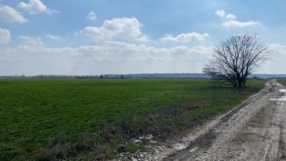 Teren Intravilan Snagov - Poză 1