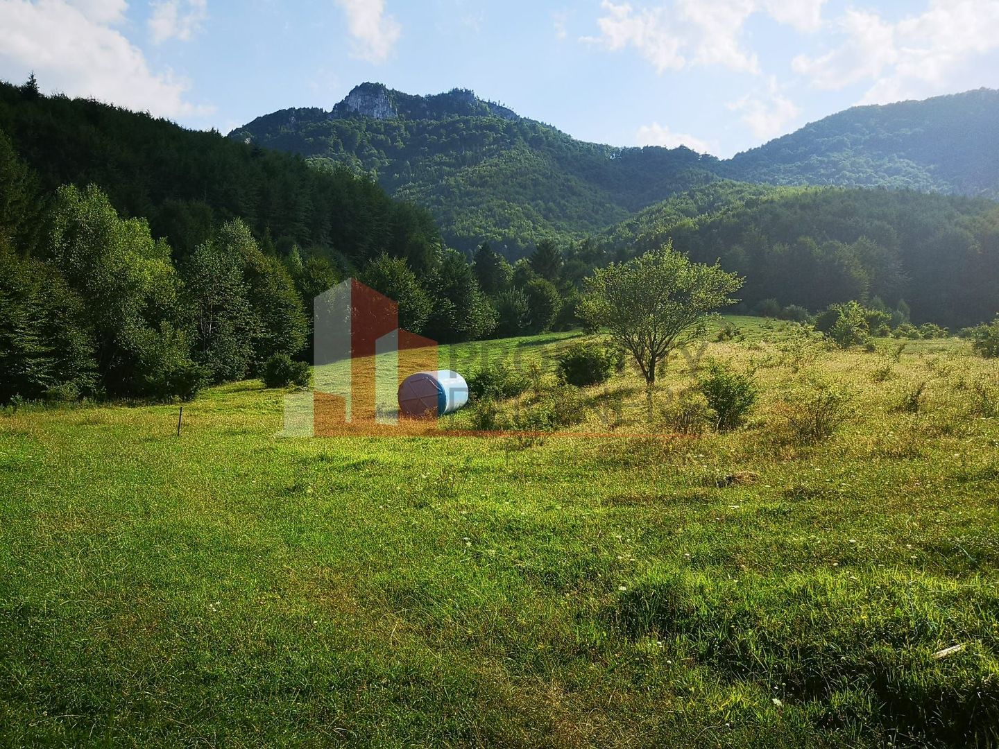 Teren Bran Tohanita | Intravilan 1.379 mp | Vedere Panoramică| - Poză 20