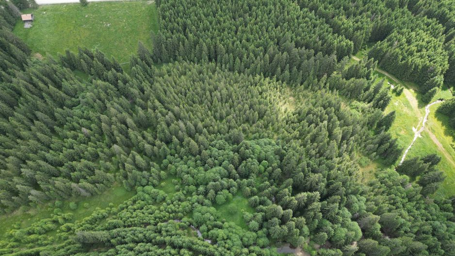 Teren extravilan 5000 MP Comandau - Poză 5
