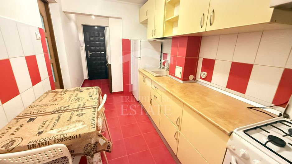 Apartament 2 Camere Teiul Doamnei Lacul Tei - Poză 9
