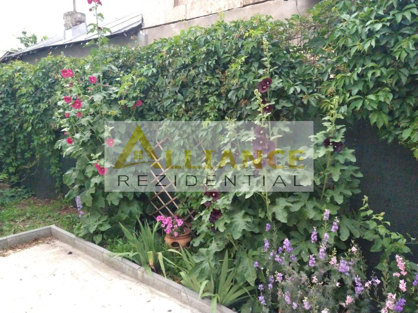 CASA BETON - 1500MP TEREN - 400MP UTILI - 370.000EUR - Poză 6