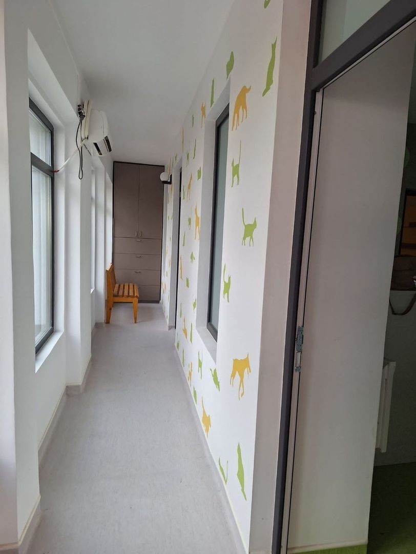 Casa de vanzare Sararie - Copou - Poză 8