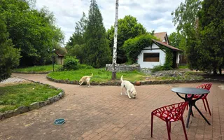 Casă premium cu piscină și curte superbă, 1759 mp teren, Micești - Poză 31