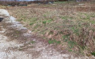 Teren intravilan 500 mp-ideal casa-Zona Dr. Tarpiului - Poză 3