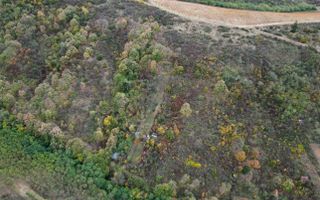 Teren 18,300mp Ghioroc - Poză 19