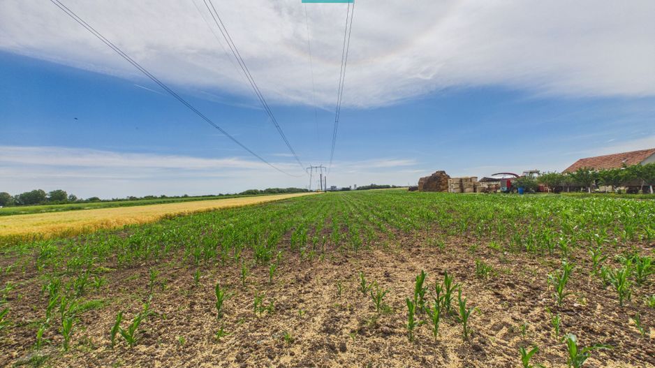 Teren extravilan în suprafață de 10.000 mp, Arad - Poză 1