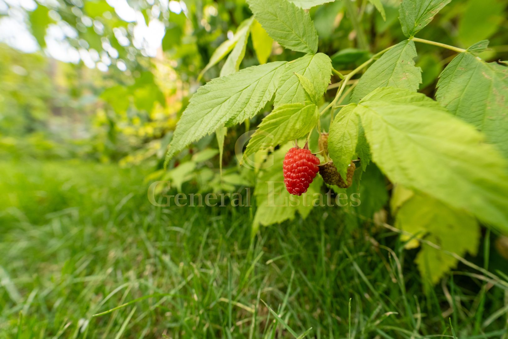 Casa tip Duplex in Critian, Brasov - Poză 18