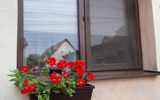 Apartament 2 camere Freidorf la casa - Poză 16