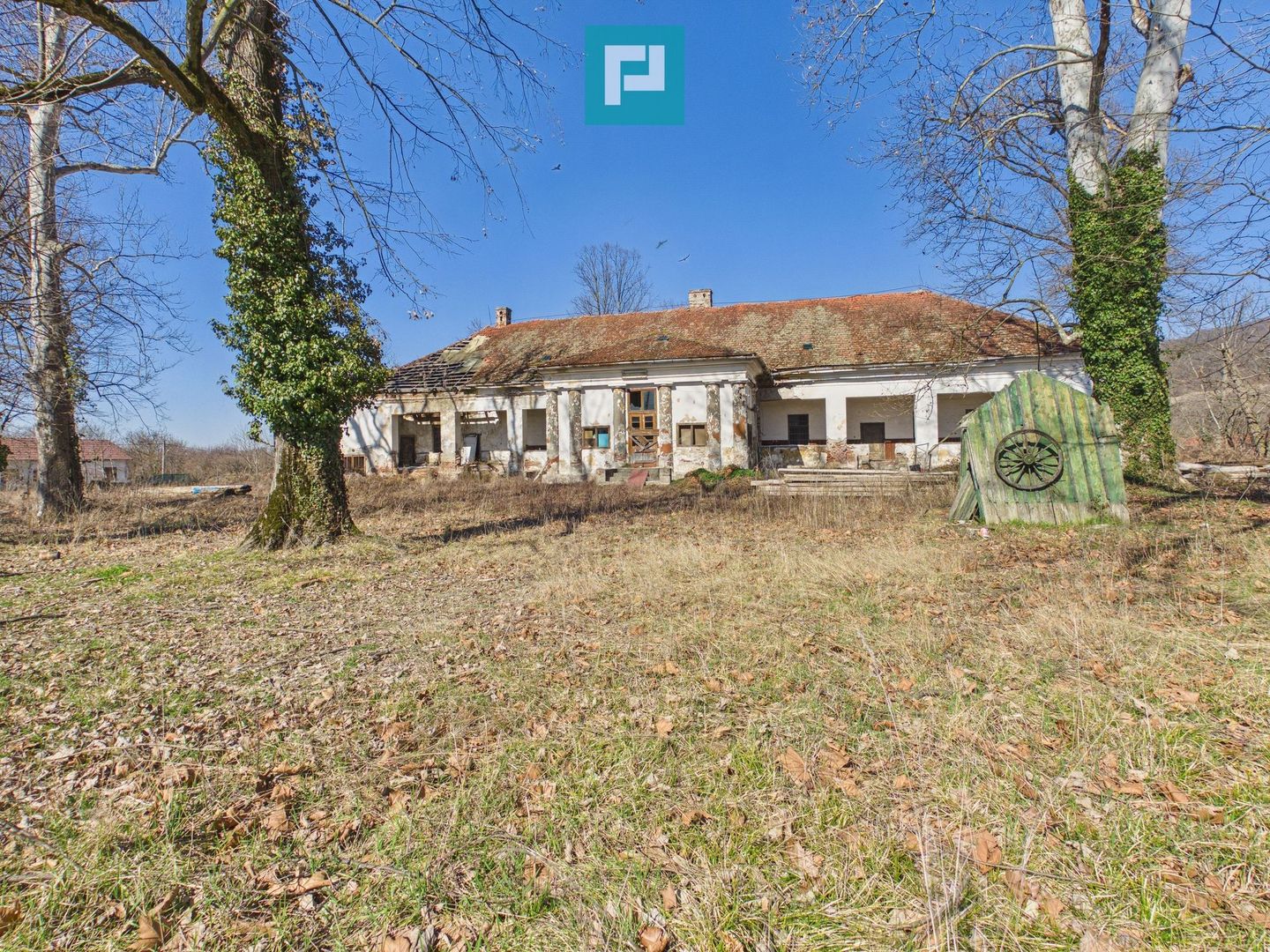 Conac nobiliar de secol XIX cu 8 camere în Maciova - Poză 2