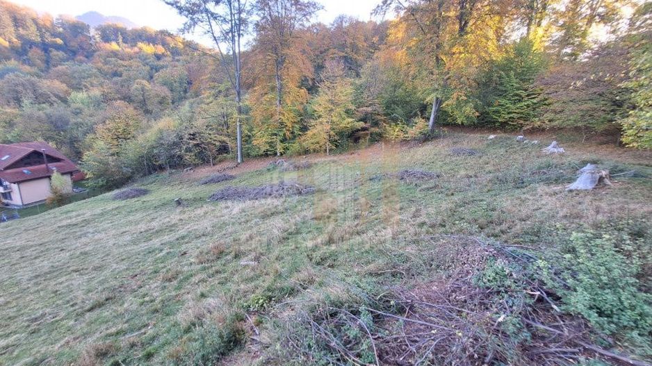 Teren intravilan Brasov Strada Ciresului 2900 mp - Poză 8