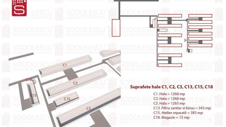 Vanzare hale Mosnita Noua-fosta Ferma 7 - Poză 4