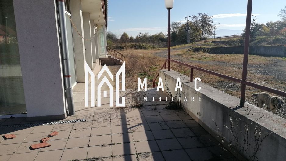 Teren 20000 mp I 3 corpuri cladire I Cristian - Poză 13