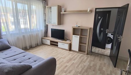 Apartament 2 camere, Grigorescu, pet friendly, parcare