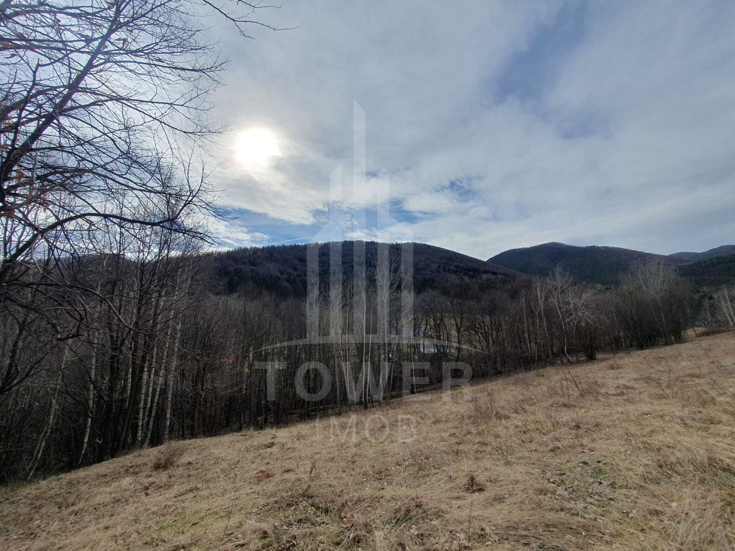 Teren Intravilan 2.938 mp | Tocile - Poză 9