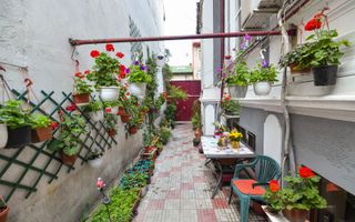 Casa individuală | Strada Plantelor | Curte proprie - Poză 2