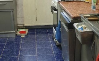 Vanzare 3 camere, 73 mp, etaj 2/8, centrală, 2 AC, parcare, 13 Septembrie - Poză 8