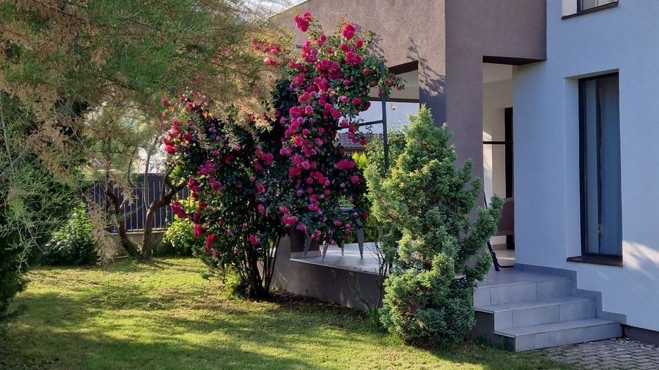 Casă de închiriat în Dumbravita – 3 dormitoare si garaj - Poză 10